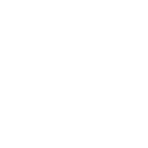 Logotipo de Nanook