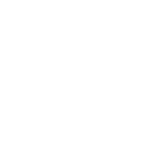 Logotipo de S21